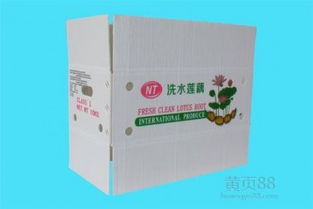 【,飛燕塑膠制品圖,珠海鈣塑蔬菜箱廠家】-